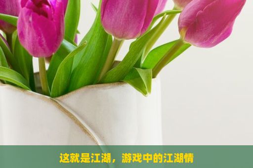 这就是江湖，游戏中的江湖情