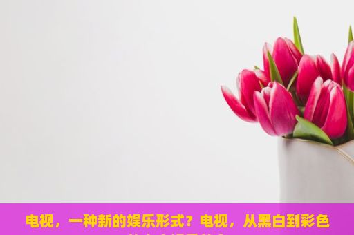 电视，一种新的娱乐形式？电视，从黑白到彩色的家庭娱乐革命