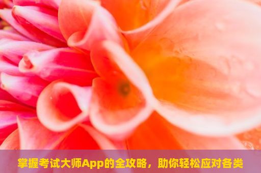 掌握考试大师App的全攻略，助你轻松应对各类考试