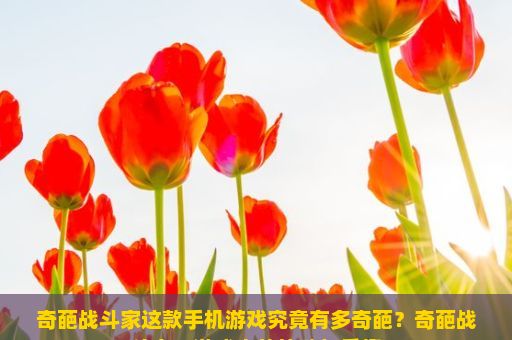 奇葩战斗家这款手机游戏究竟有多奇葩？奇葩战斗家，游戏中的策略与乐趣