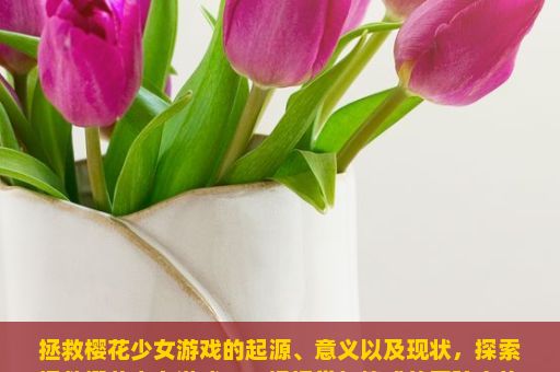 拯救樱花少女游戏的起源、意义以及现状，探索拯救樱花少女游戏，一场视觉与情感的冒险之旅