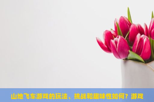 山地飞车游戏的玩法、挑战和趣味性如何？游戏的画面设计有何特色？山地飞车，挑战极限的骑行之旅