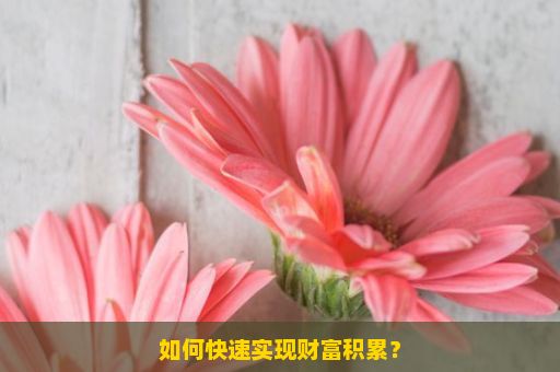 如何快速实现财富积累？