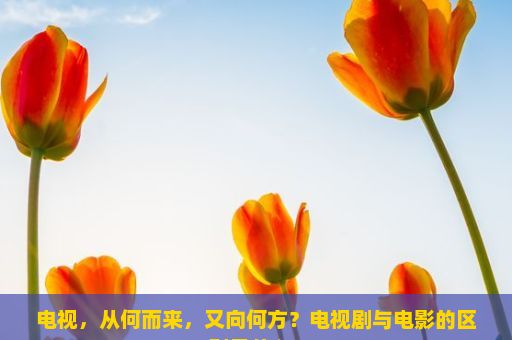 电视，从何而来，又向何方？电视剧与电影的区别是什么？