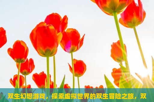 双生幻想游戏，探索虚拟世界的双生冒险之旅，双生幻想游戏的世界观和剧情解析