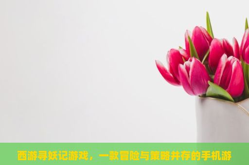 西游寻妖记游戏，一款冒险与策略并存的手机游戏吗？西游寻妖记游戏，重温经典，探索未知