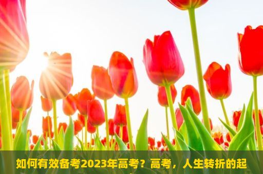 如何有效备考2023年高考？高考，人生转折的起点