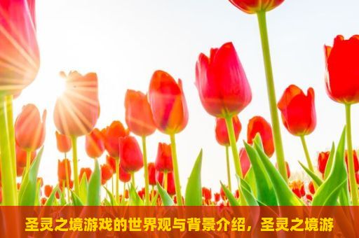 圣灵之境游戏的世界观与背景介绍，圣灵之境游戏，探索未知的奇幻世界