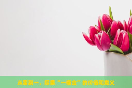 从零到一，探索“一桶金”的价值和意义