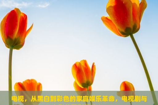 电视，从黑白到彩色的家庭娱乐革命，电视剧与电影的区别是什么？