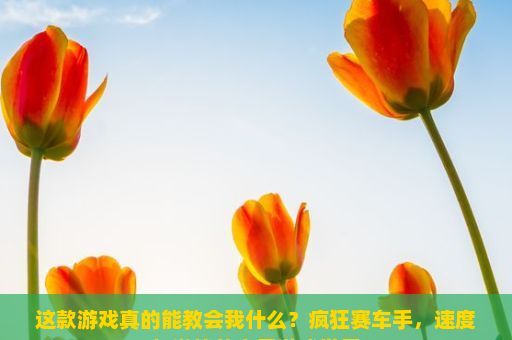 这款游戏真的能教会我什么？疯狂赛车手，速度与激情的电子游戏世界