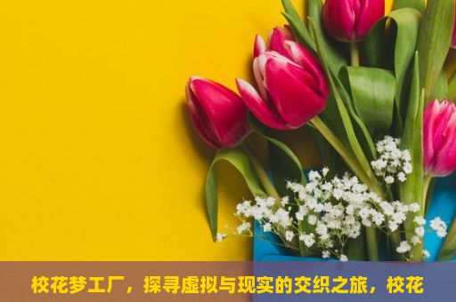 校花梦工厂，探寻虚拟与现实的交织之旅，校花梦工厂游戏的魅力与挑战