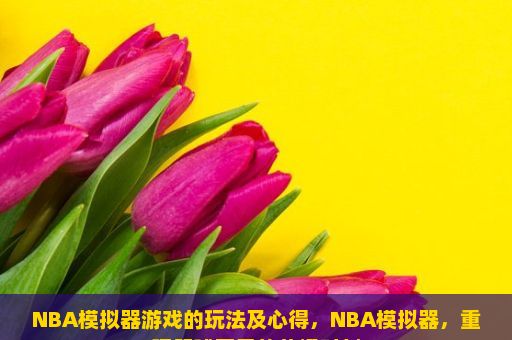 NBA模拟器游戏的玩法及心得，NBA模拟器，重现篮球巨星的荣耀时刻