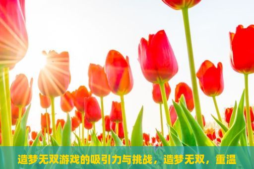 造梦无双游戏的吸引力与挑战，造梦无双，重温经典，探索无限可能