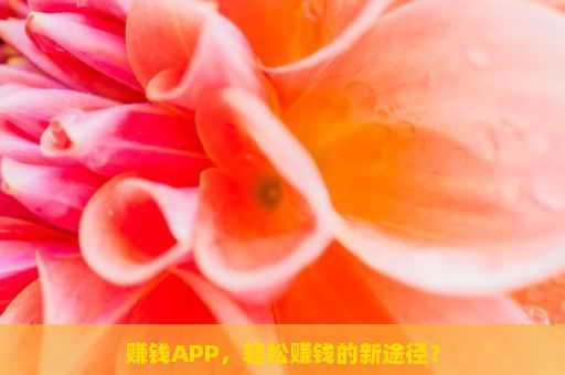 赚钱APP，轻松赚钱的新途径？