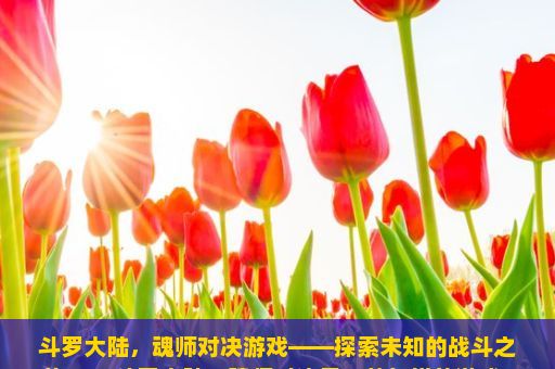 斗罗大陆，魂师对决游戏——探索未知的战斗之旅，1. 斗罗大陆，魂师对决是一款怎样的游戏？