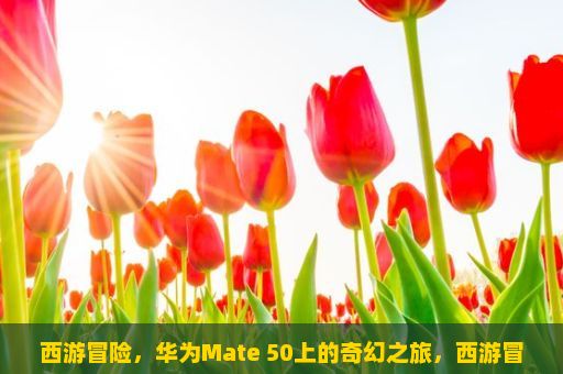 西游冒险，华为Mate 50上的奇幻之旅，西游冒险(安装赢HUAWEI Mate 50)的奇妙魅力？