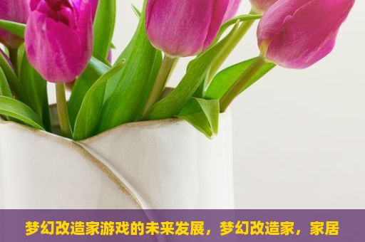 梦幻改造家游戏的未来发展，梦幻改造家，家居梦想的无限可能