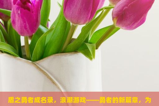 盾之勇者成名录，浪潮游戏——勇者的新篇章，为何盾之勇者成名录这款游戏在中国市场如此火爆？