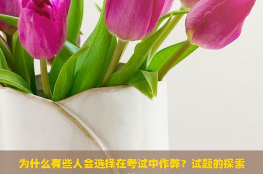 为什么有些人会选择在考试中作弊？试题的探索与挑战