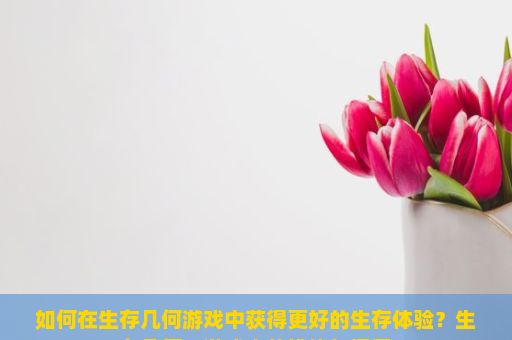 如何在生存几何游戏中获得更好的生存体验？生存几何，游戏中的挑战与探索