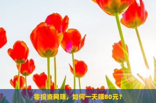 零投资网赚，如何一天赚80元？