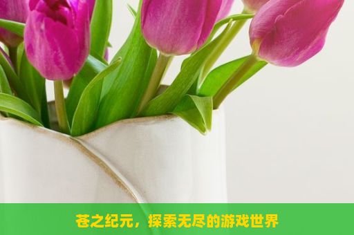 苍之纪元，探索无尽的游戏世界