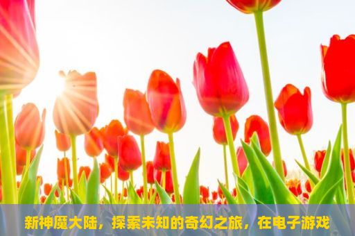 新神魔大陆，探索未知的奇幻之旅，在电子游戏中，你最喜欢的角色扮演游戏是什么？如果是的话，你能分享一下你的选择吗？