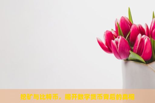 挖矿与比特币，揭开数字货币背后的真相