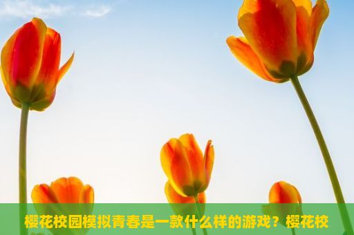 樱花校园模拟青春是一款什么样的游戏？樱花校园模拟青春，重温青春的梦幻之旅