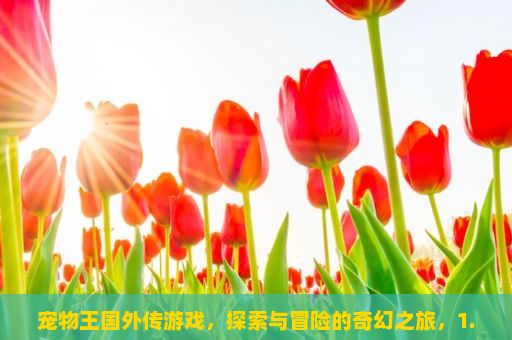 宠物王国外传游戏，探索与冒险的奇幻之旅，1. 你最喜欢的游戏是什么？为什么？