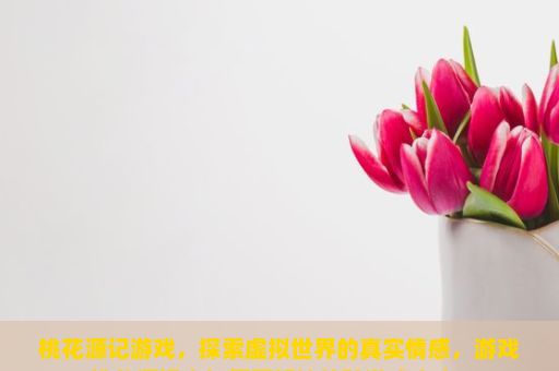 桃花源记游戏，探索虚拟世界的真实情感，游戏桃花源记中如何更好地体验游戏内容？