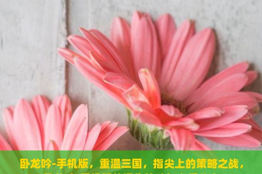 卧龙吟-手机版，重温三国，指尖上的策略之战，卧龙吟-手机版的操作策略与心得分享