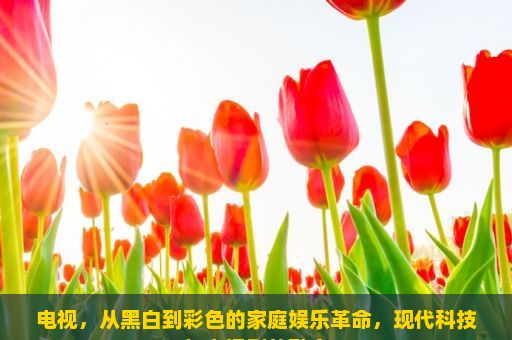 电视，从黑白到彩色的家庭娱乐革命，现代科技与电视剧的融合