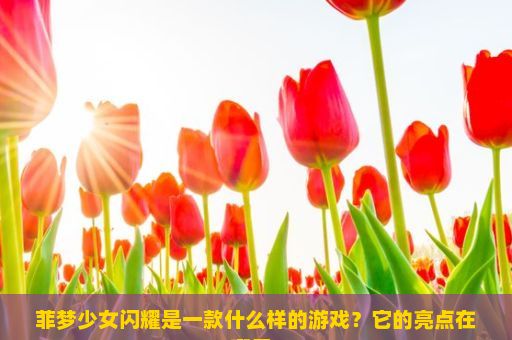 菲梦少女闪耀是一款什么样的游戏？它的亮点在哪里？