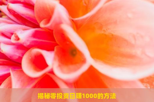 揭秘零投资日赚1000的方法