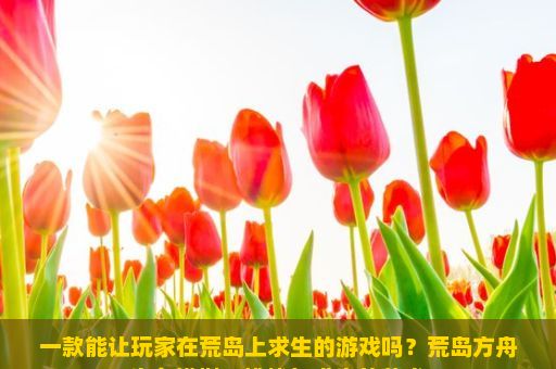 一款能让玩家在荒岛上求生的游戏吗？荒岛方舟生存模拟，挑战与求生的艺术