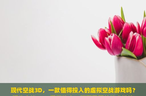 现代空战3D，一款值得投入的虚拟空战游戏吗？现代空战3D，重燃战火，翱翔天际的战术挑战