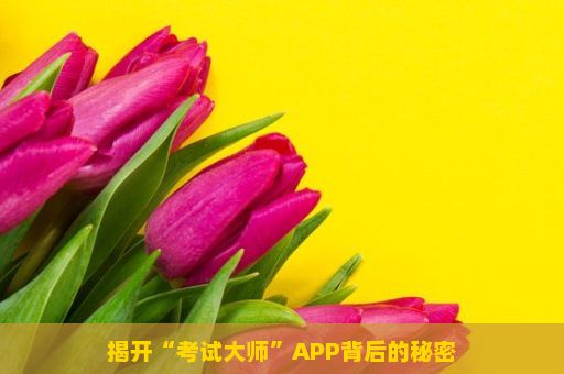 揭开“考试大师”APP背后的秘密