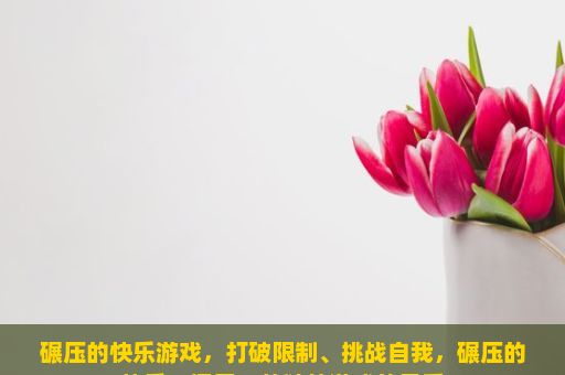 碾压的快乐游戏，打破限制、挑战自我，碾压的快乐，探索一款独特游戏的风采