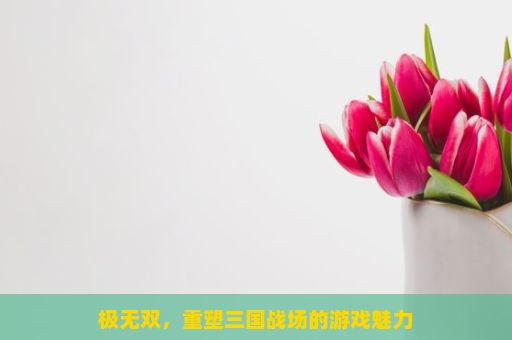 极无双，重塑三国战场的游戏魅力