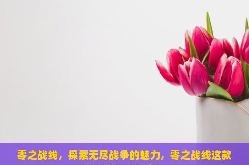 零之战线，探索无尽战争的魅力，零之战线这款游戏的魅力如何？