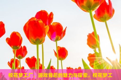 校花梦工厂，游戏背后的魅力与探索，校花梦工厂游戏的独特魅力和精彩纷呈的玩法