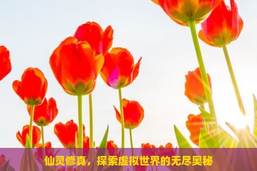 仙灵修真，探索虚拟世界的无尽奥秘