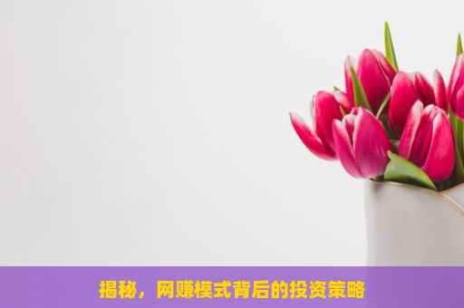 揭秘，网赚模式背后的投资策略