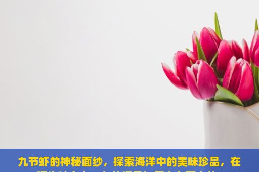 九节虾的神秘面纱，探索海洋中的美味珍品，在现代社会中，九节虾是如何生存下来的？