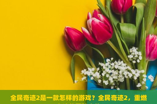 全民奇迹2是一款怎样的游戏？全民奇迹2，重燃奇迹的冒险之旅