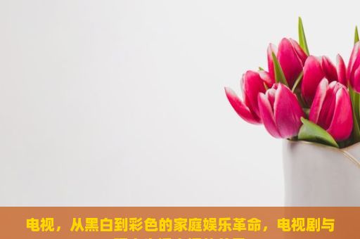 电视，从黑白到彩色的家庭娱乐革命，电视剧与现实生活之间的差异