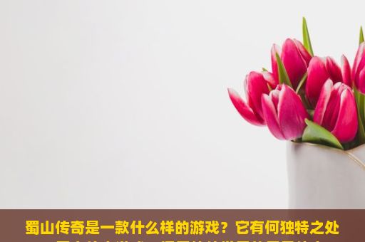 蜀山传奇是一款什么样的游戏？它有何独特之处？蜀山传奇游戏，探索仙侠世界的无尽传奇