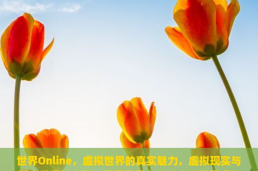 世界Online，虚拟世界的真实魅力，虚拟现实与现实世界的交融，探索世界在线游戏的世界观与体验